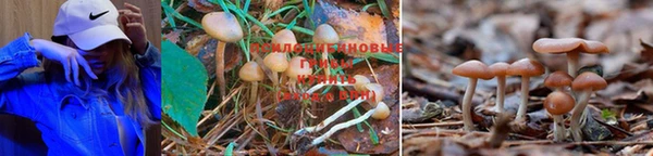 мдма Вязники